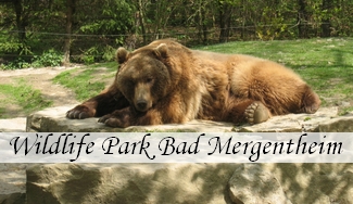 Wildlife Park Bad Mergentheim